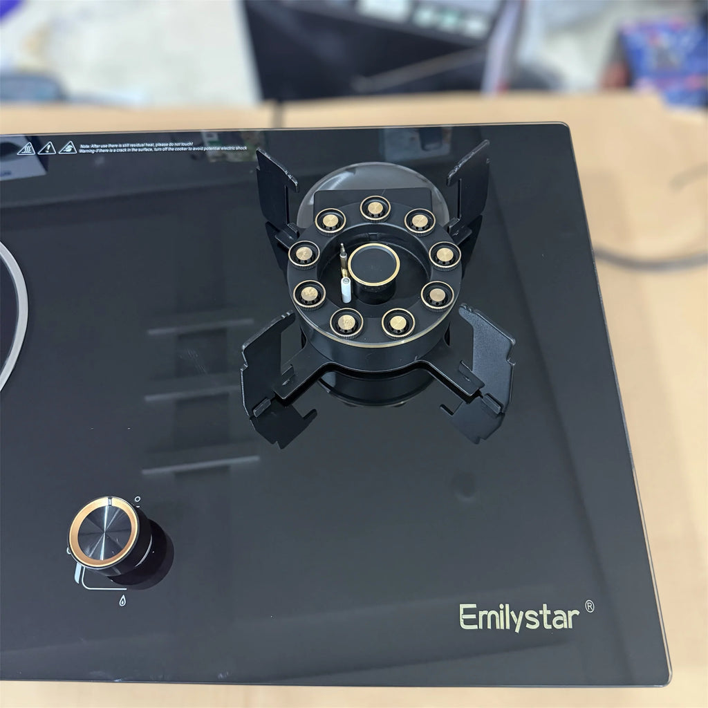 Imported Emilystar 2 in 1 Gas & Electric Stove