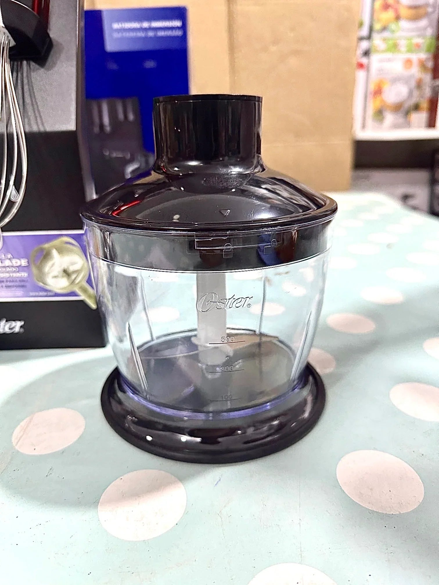 Oster Stainless Steel Hand Blender GHB5382